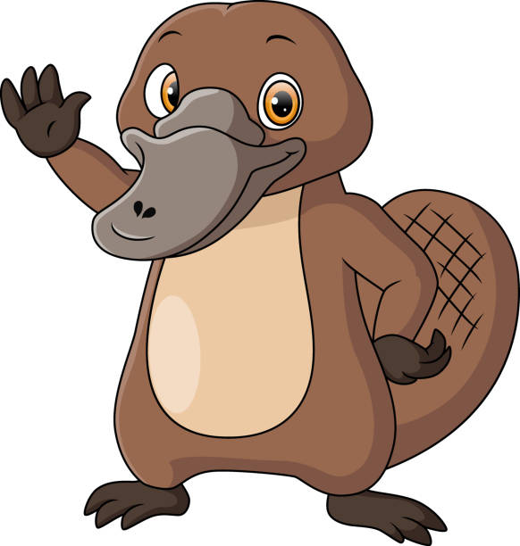 cartoon duck billed platypus