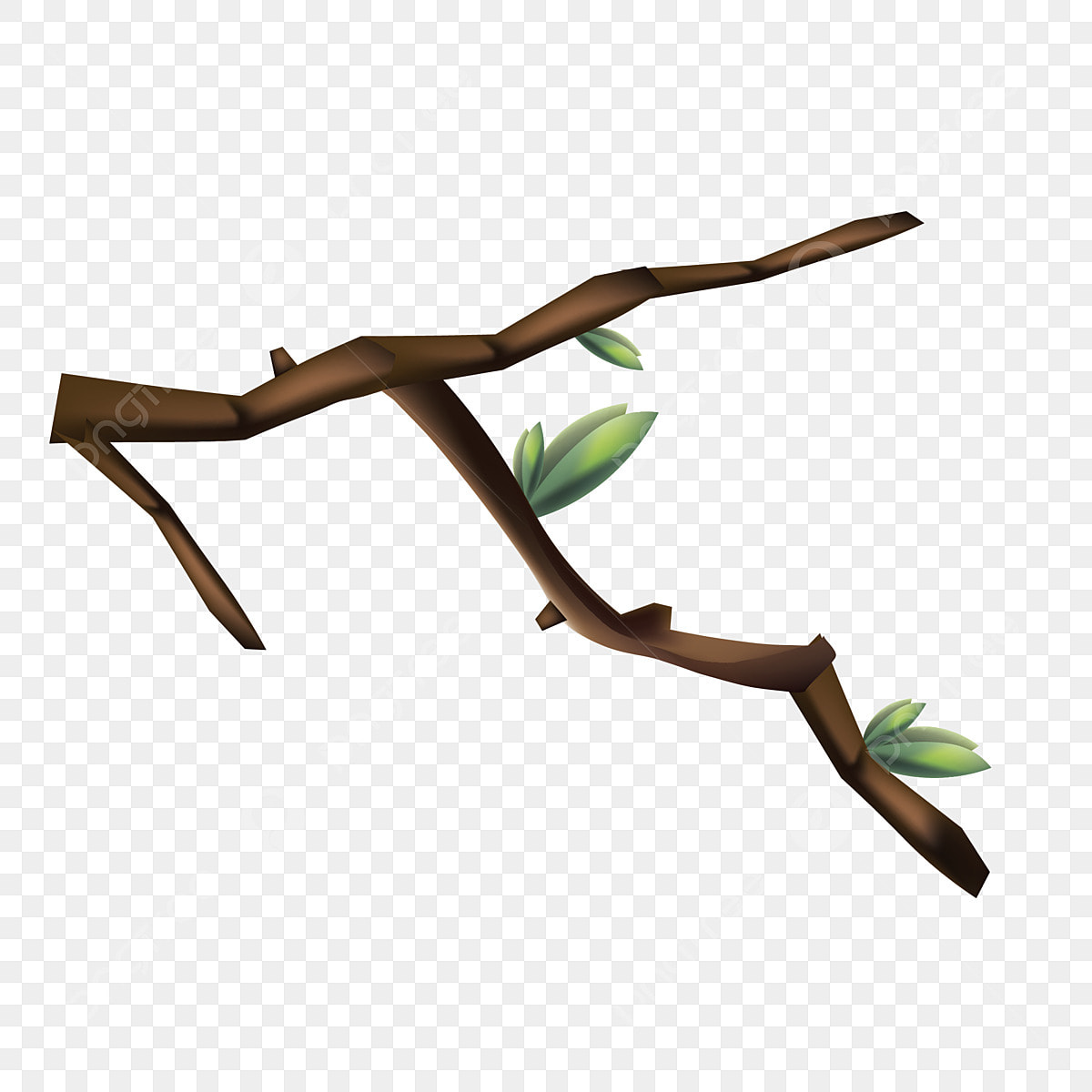 cartoon tree branch