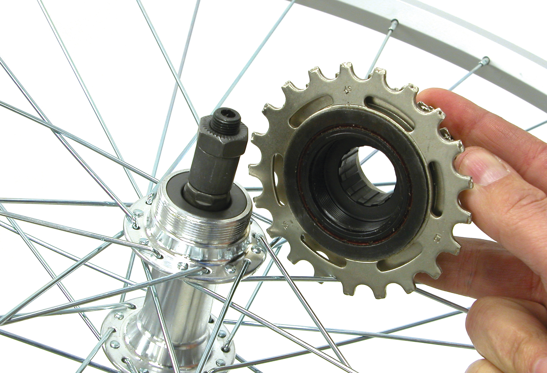 cassette vs freewheel