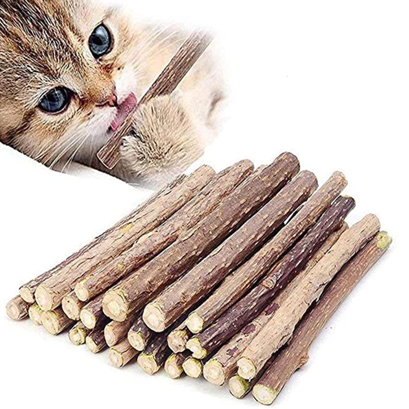 cat chew toys