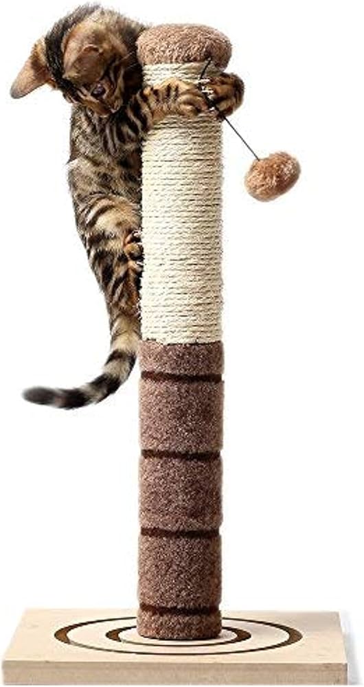 cat scratch toy