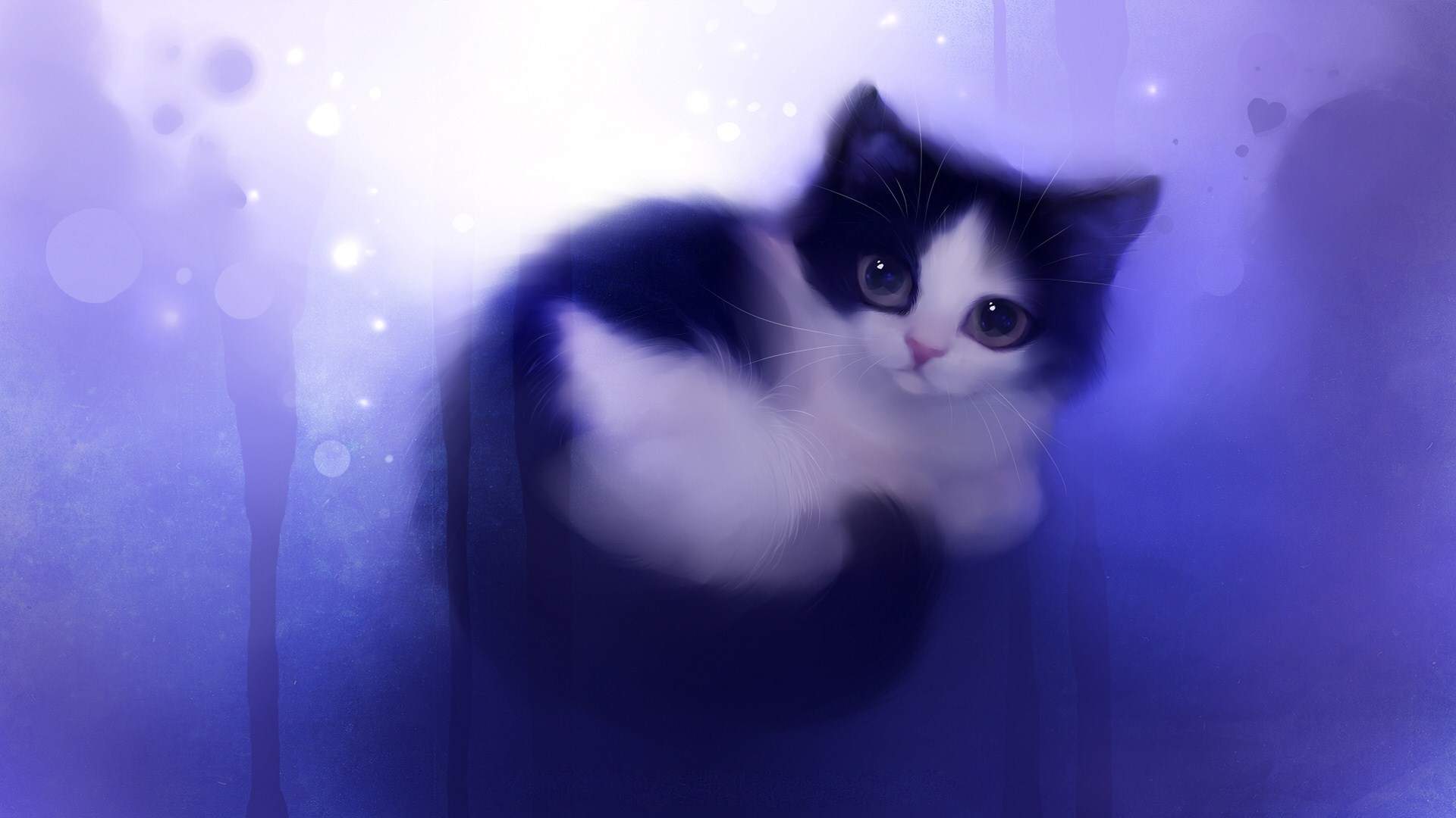 cat wallpapers