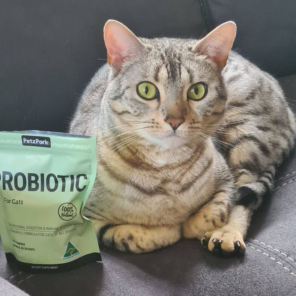 petz park probiotic for cats