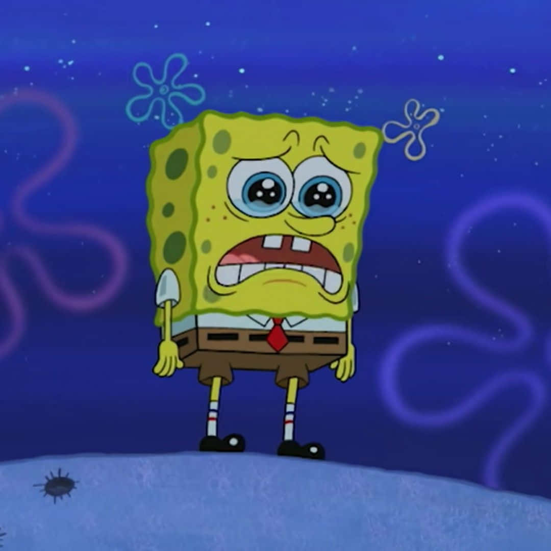 spongebob sad