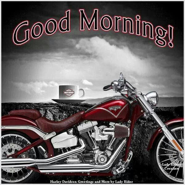 buenos dias harley davidson