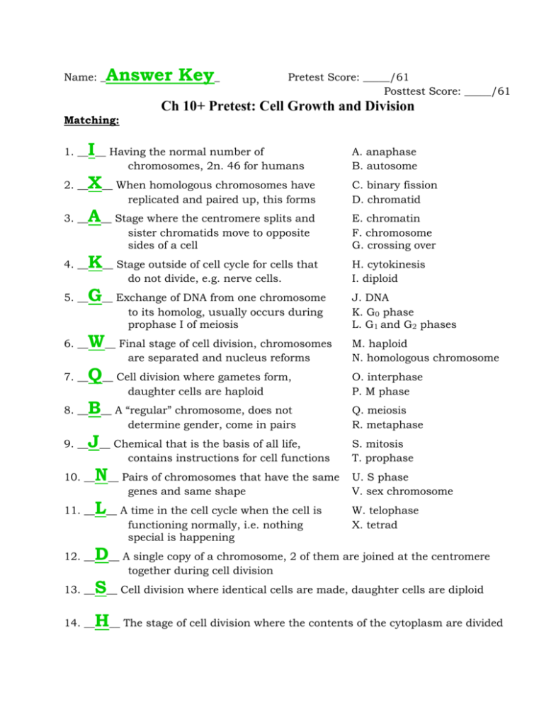 chapter 10 cell growth and division answer key pdf