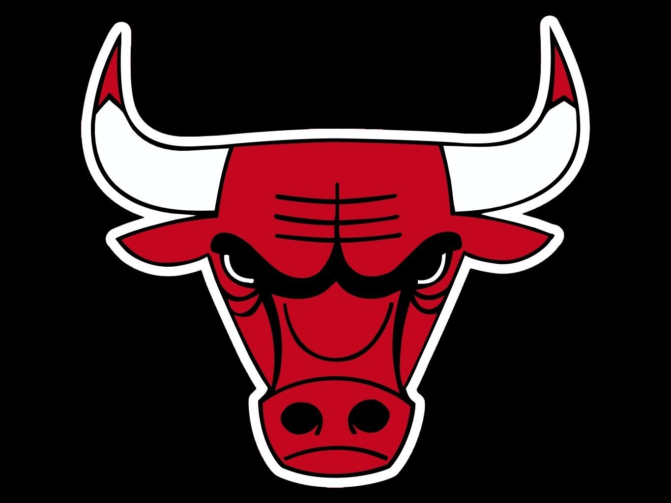 chicago bulls bull