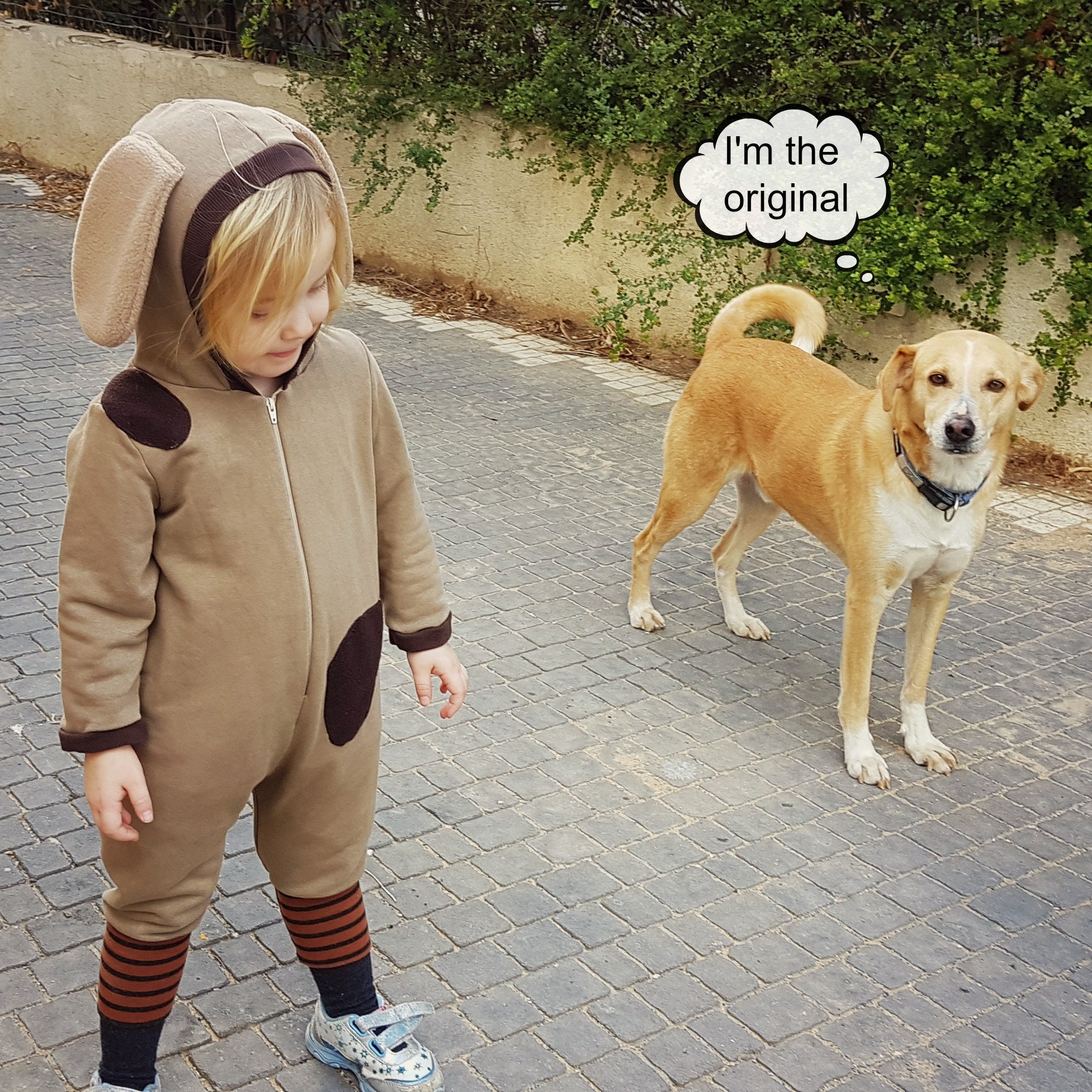 child dog costume