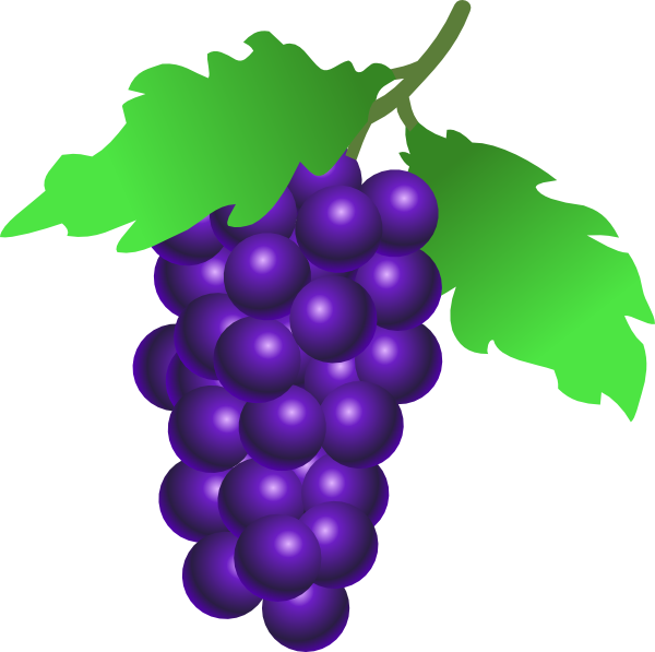 clip art grapes