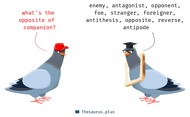 companion antonym