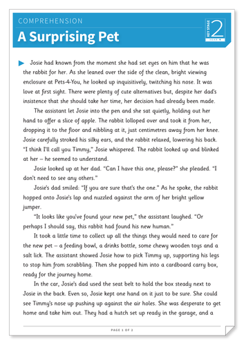 comprehension year 4 pdf