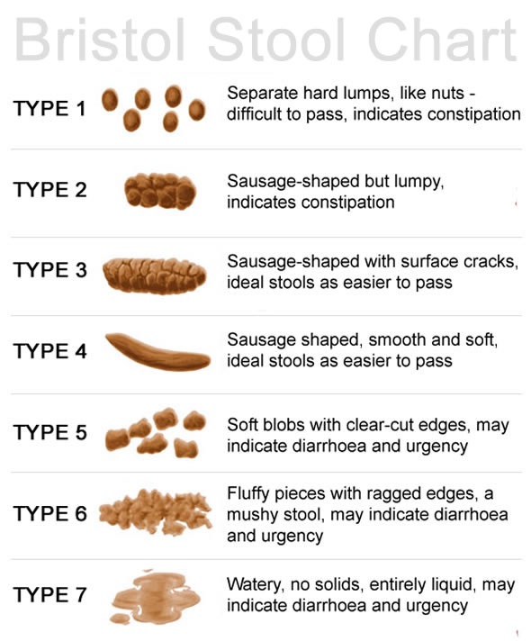 constipated meaning in bengali