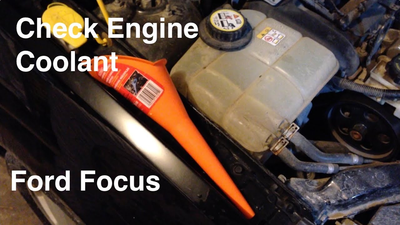 coolant in ford focus