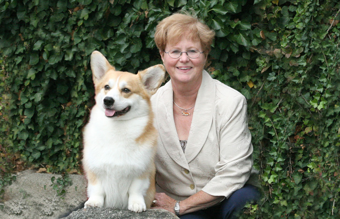 corgi breeders alberta