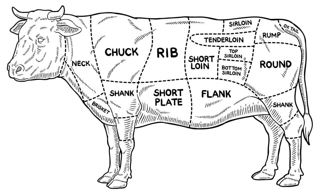 cow beef diagram