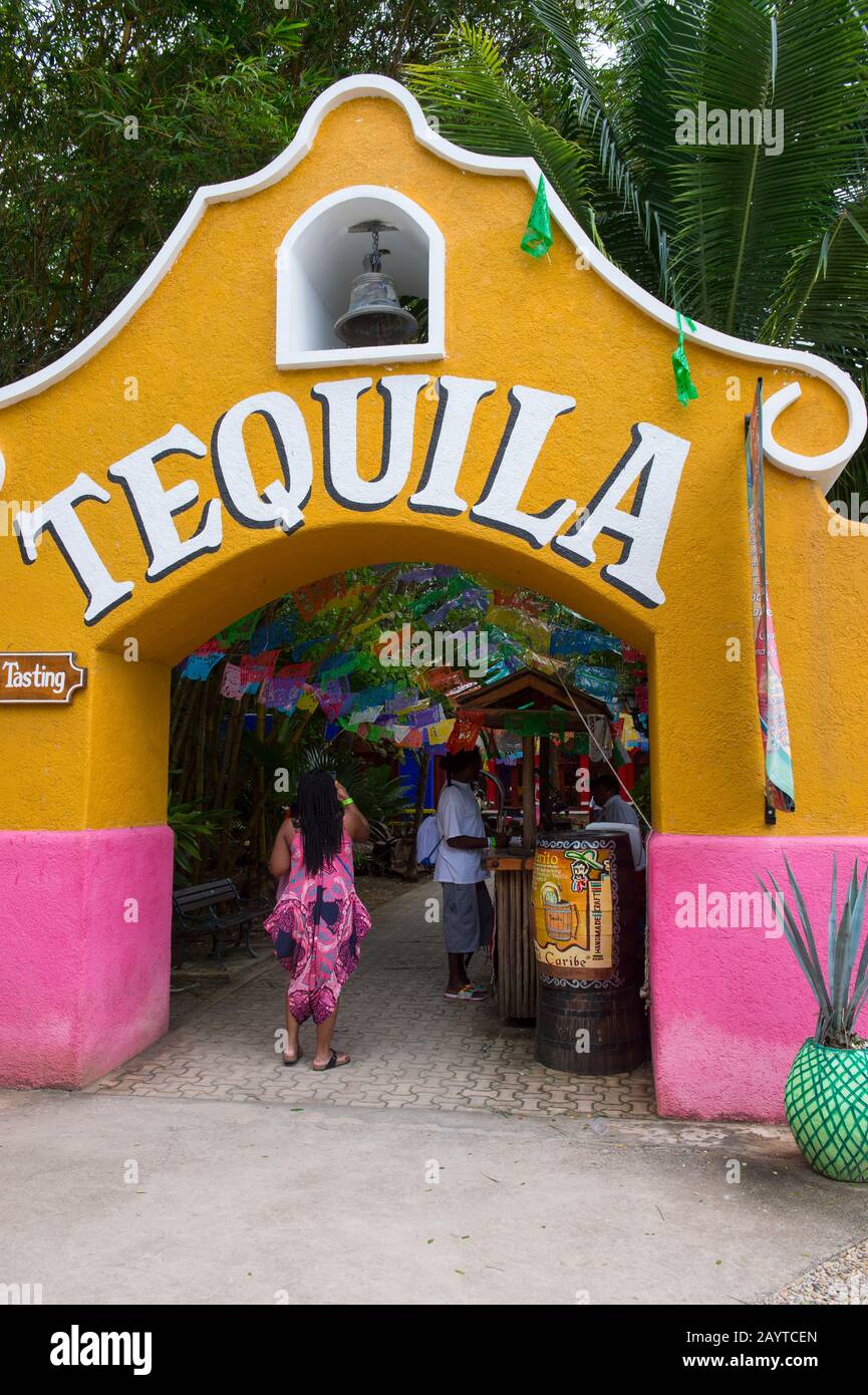 cozumel mexico tequila factory