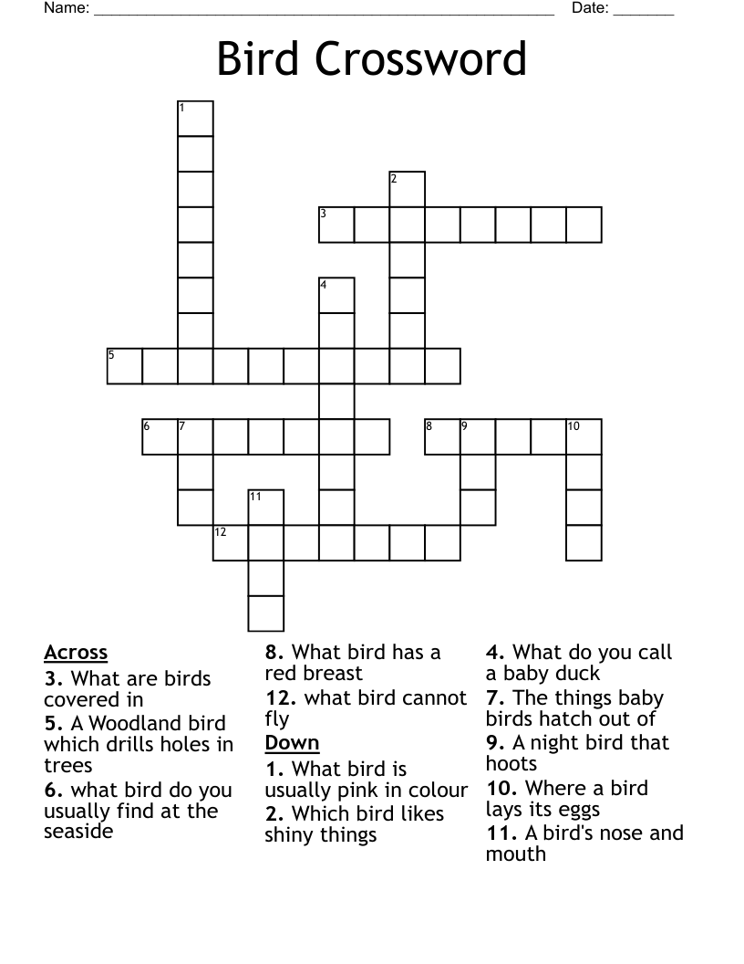 crossword clue bird