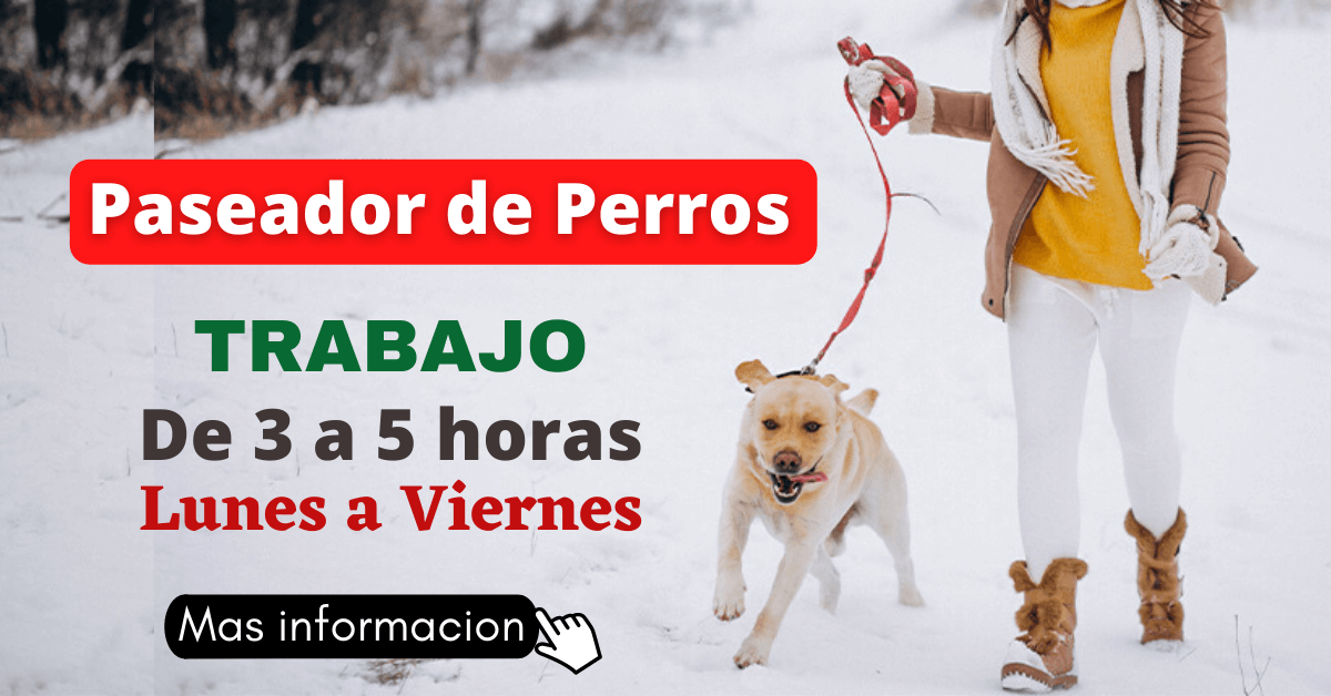 cuidador de perros empleo