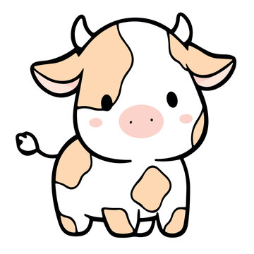 cute pictures of cows