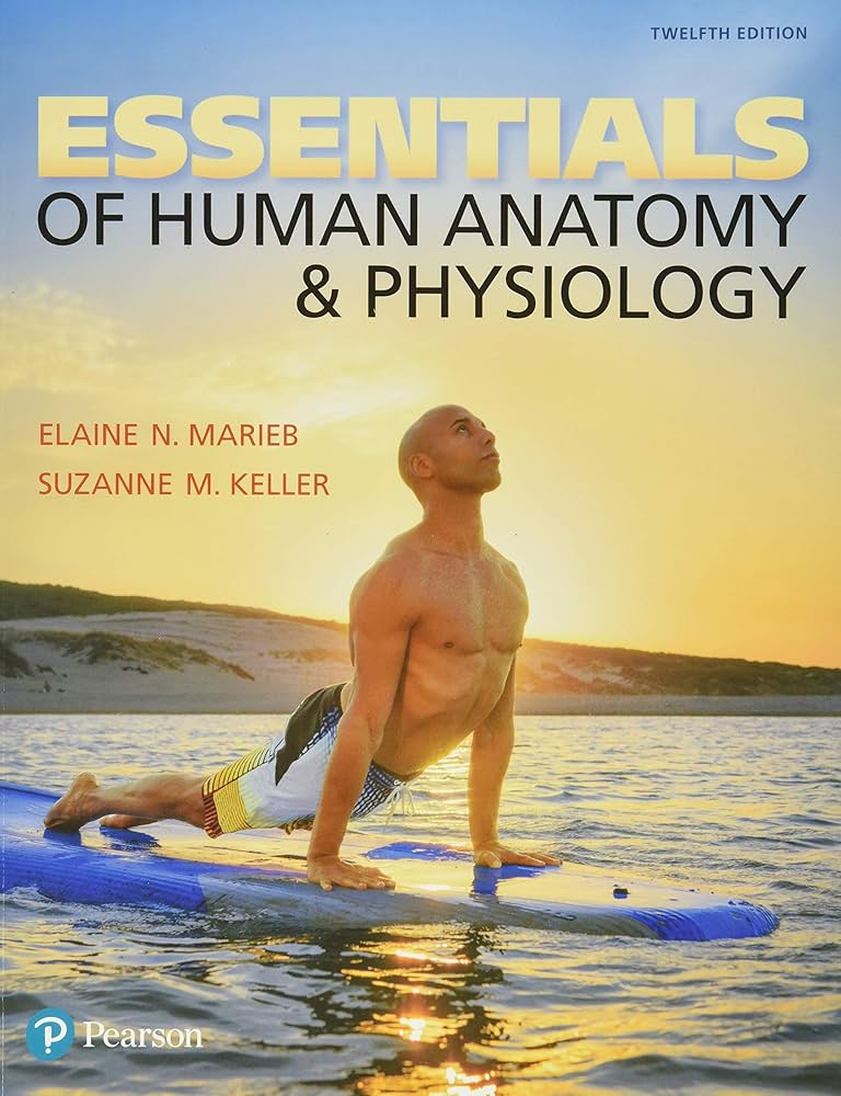 marieb essentials of human anatomy and physiology