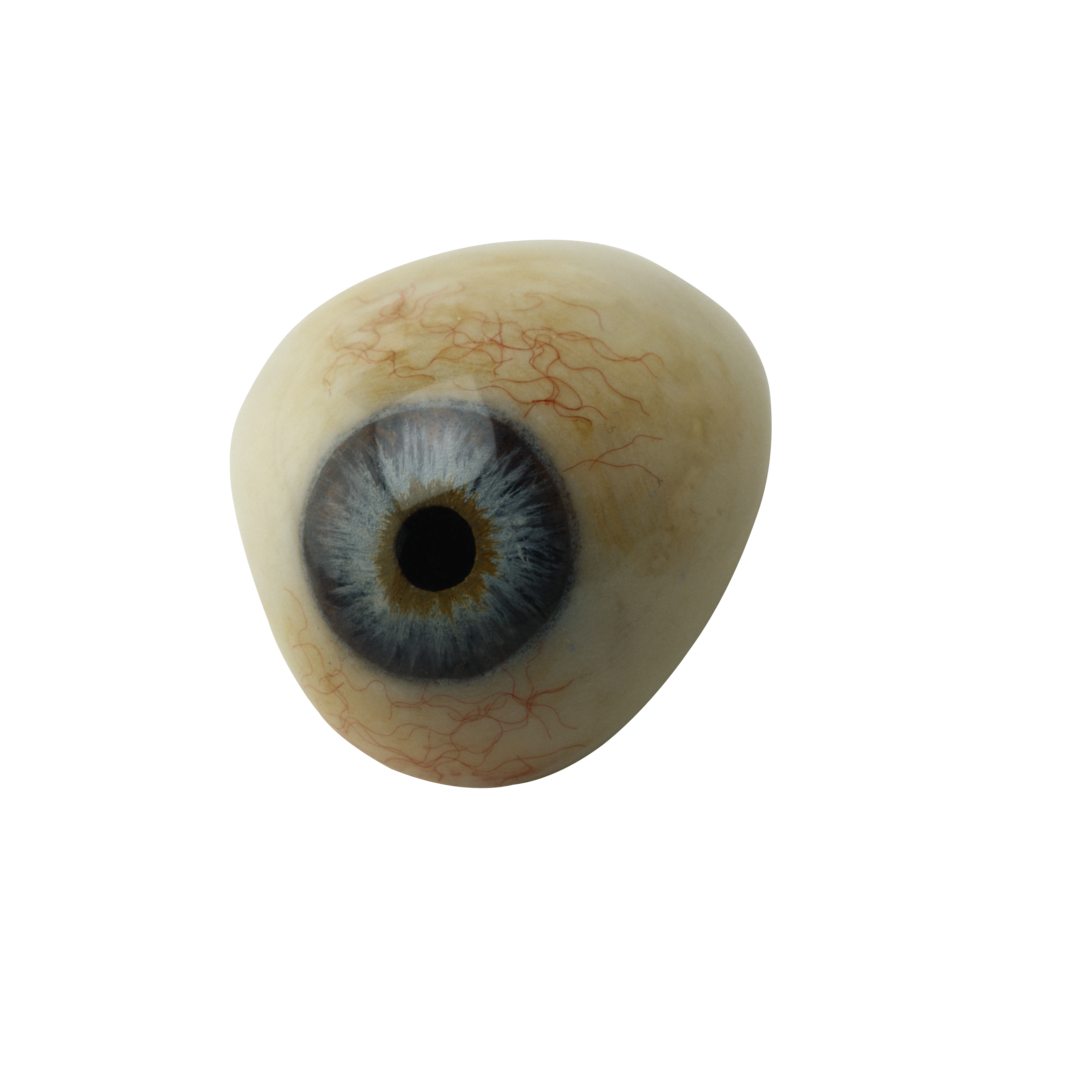 eyes png