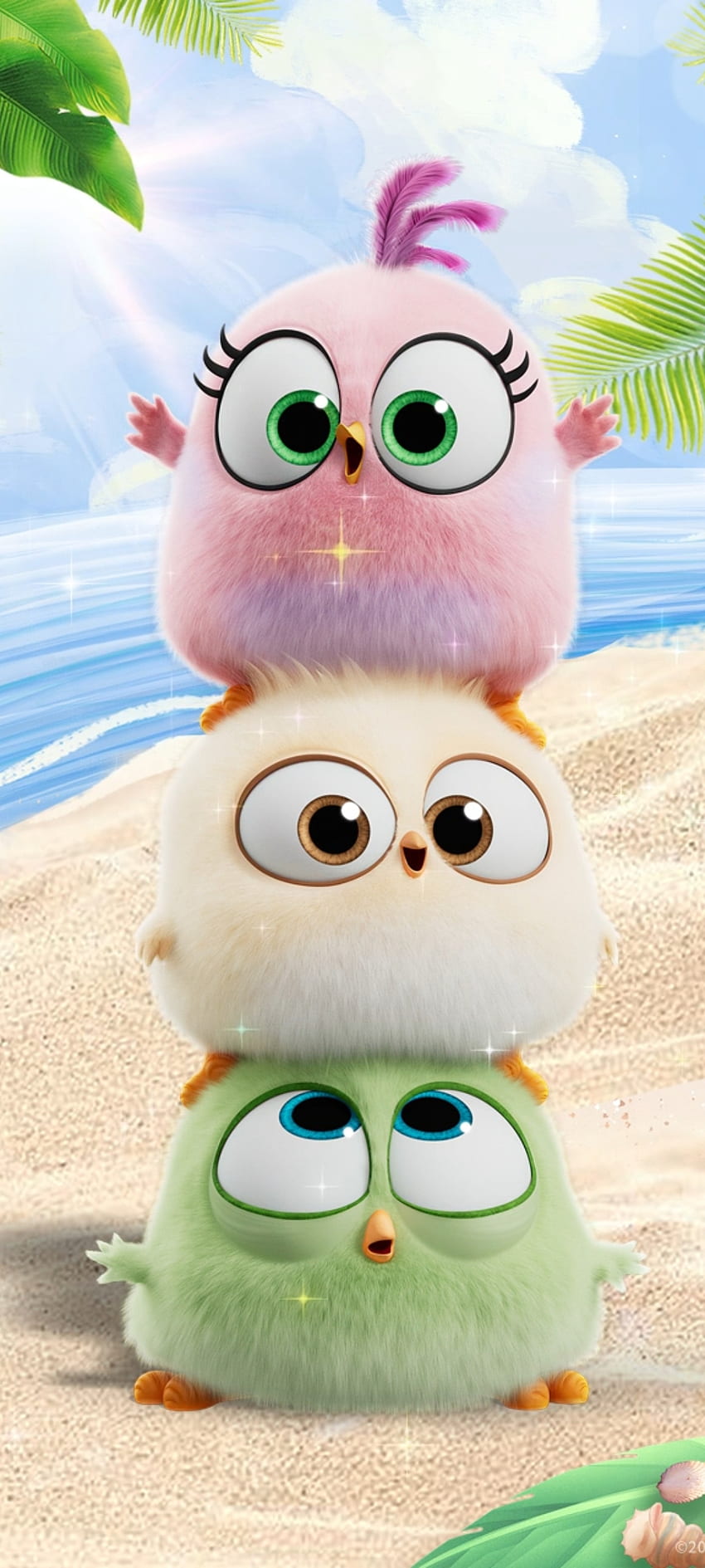 angry birds cute wallpaper