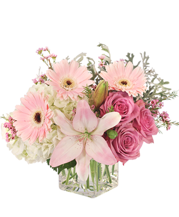 greer sc florist