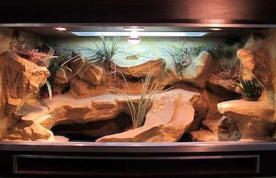 bearded dragon hide ideas