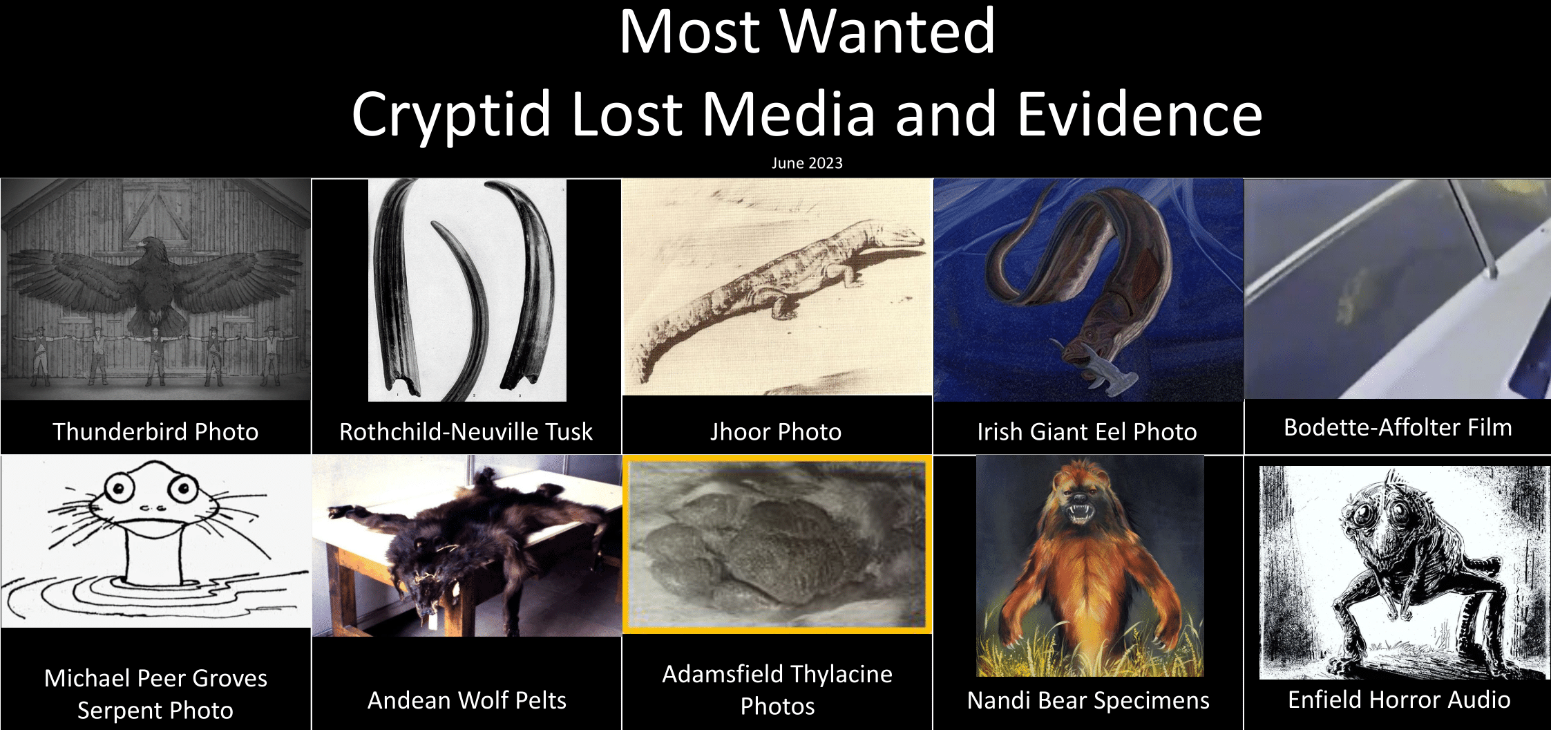 cryptozoology reddit