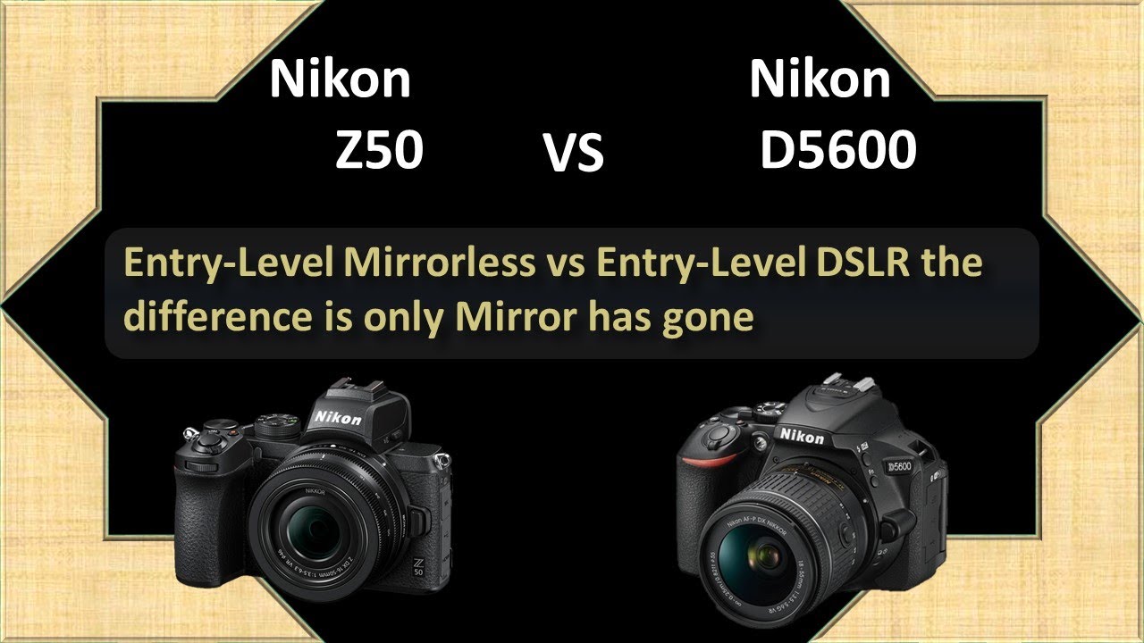 nikon z50 vs nikon d5600