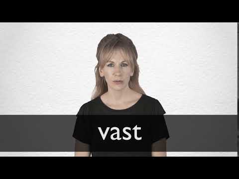 vast synonyms in english