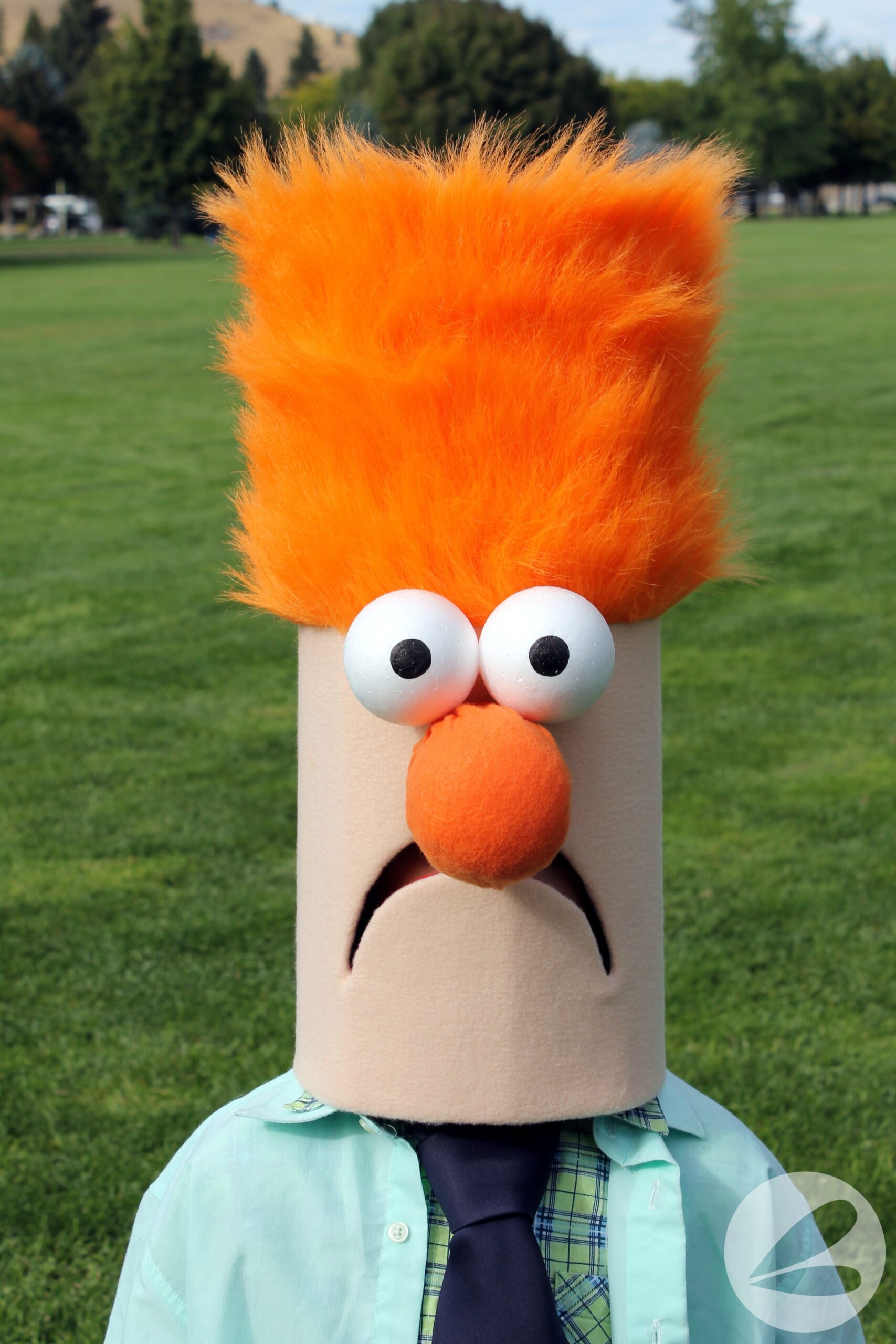 muppets orange hair