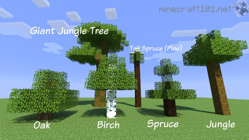 how do you grow a tree in minecraft