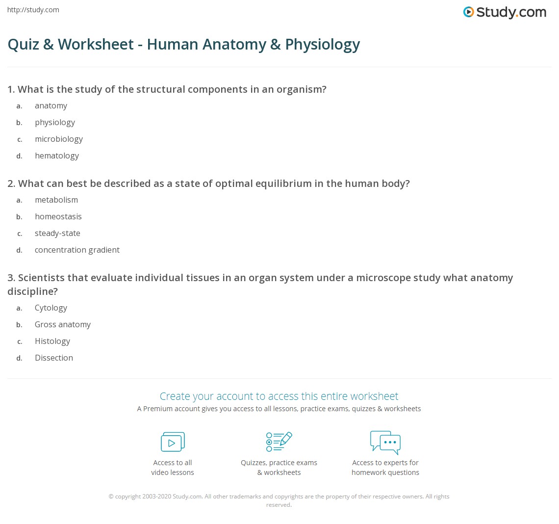 anatomy and physiology quiz nursing