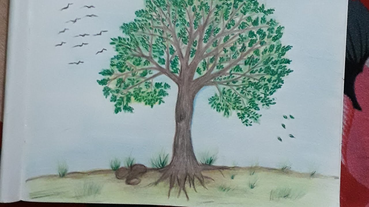 neem tree drawing easy