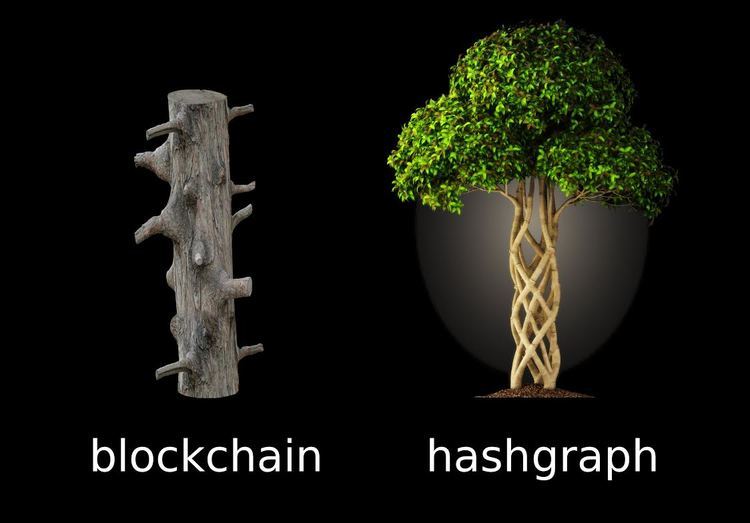 hashgraph คือ