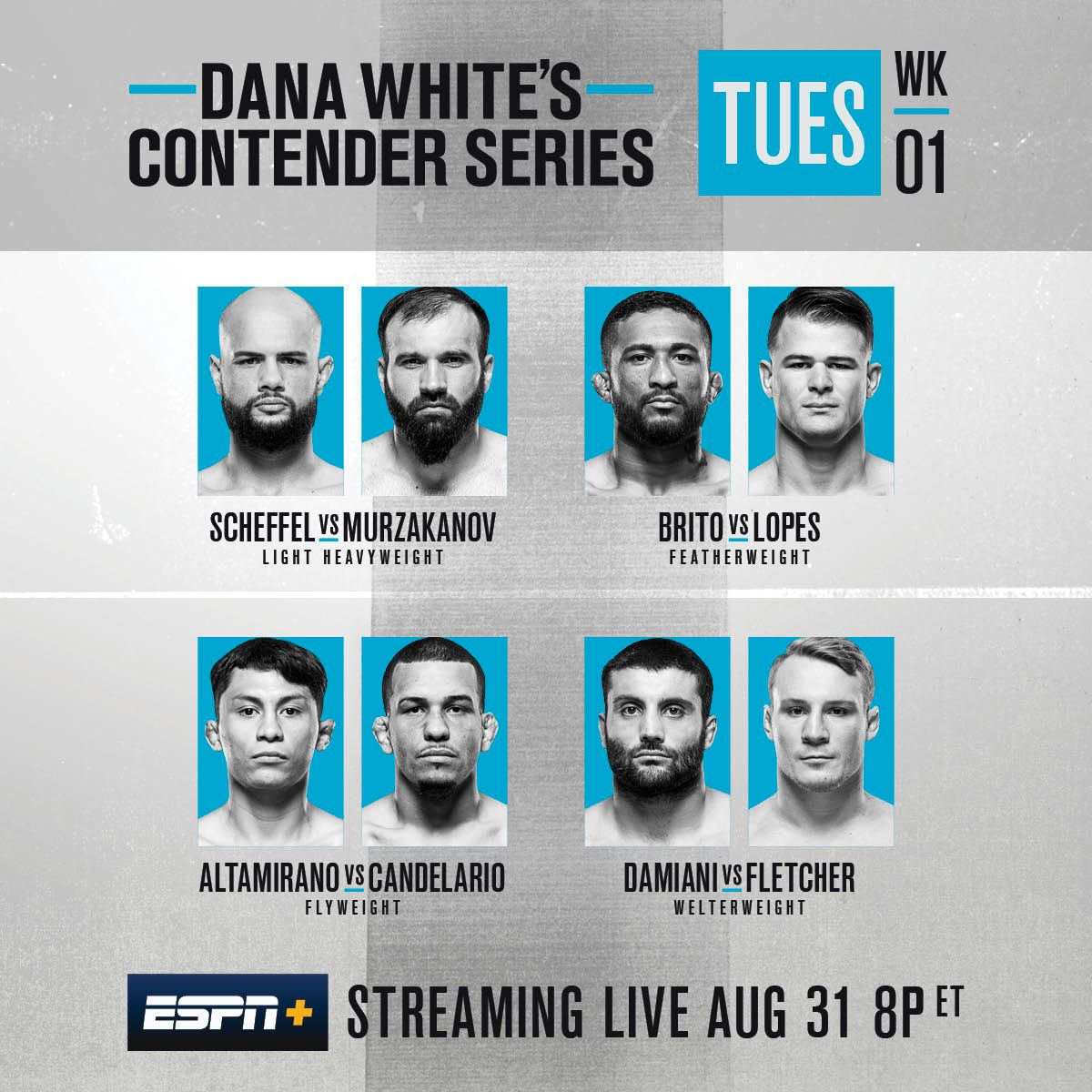 dana whites contender series