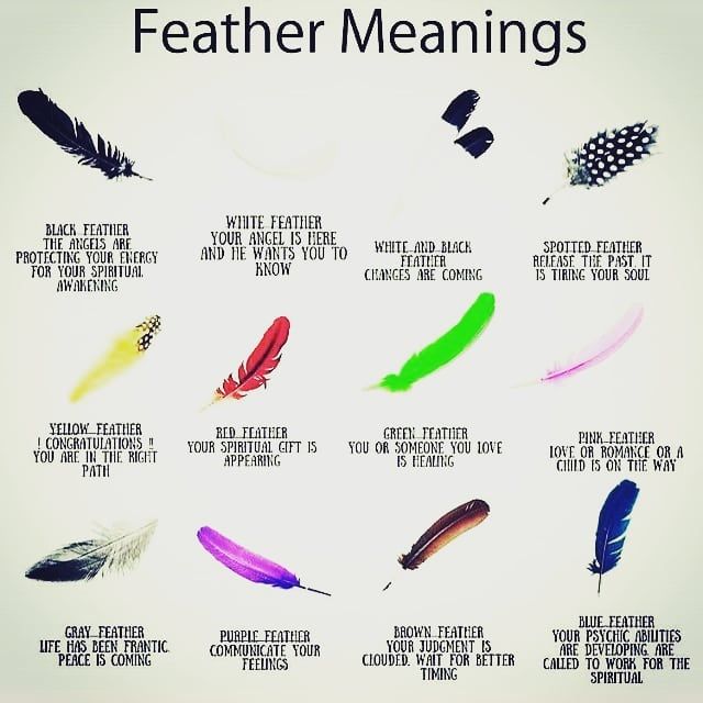 dark grey feather meaning