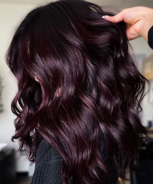 dark hair with burgundy