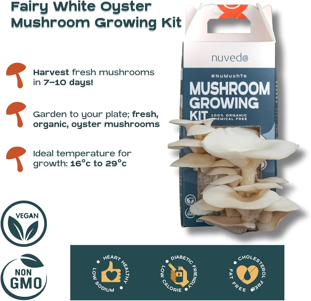 mushroom growing kit india