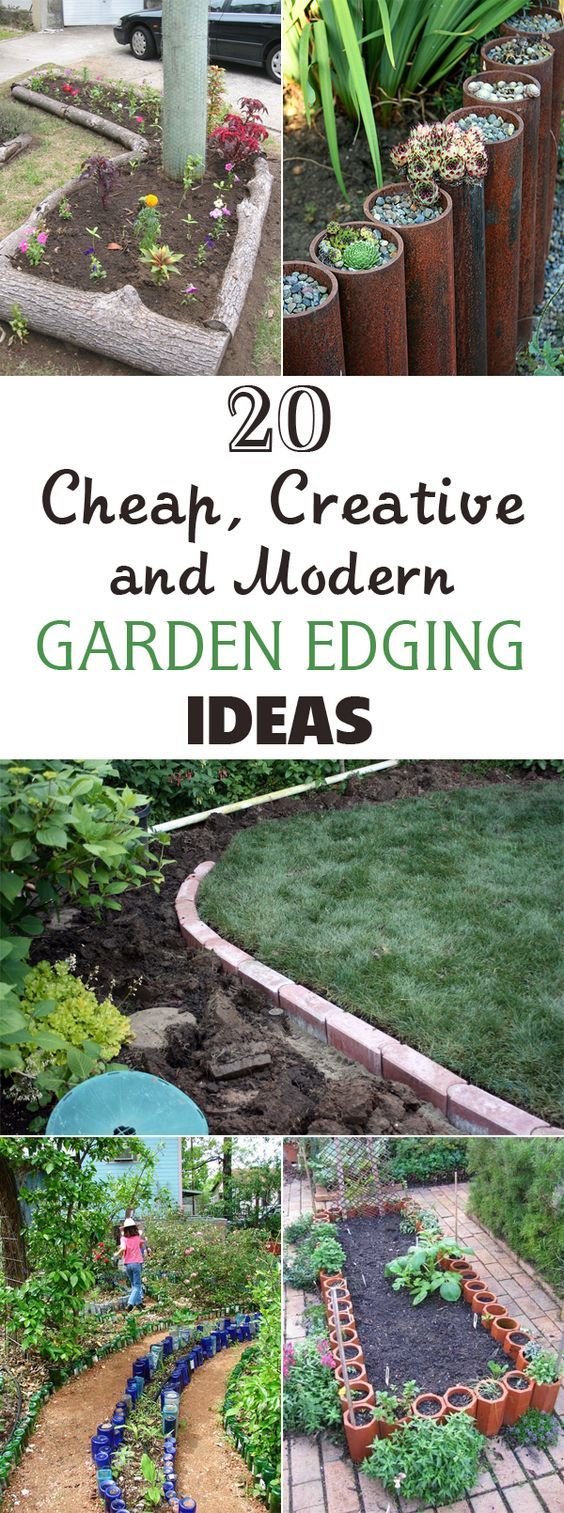 grass edging ideas