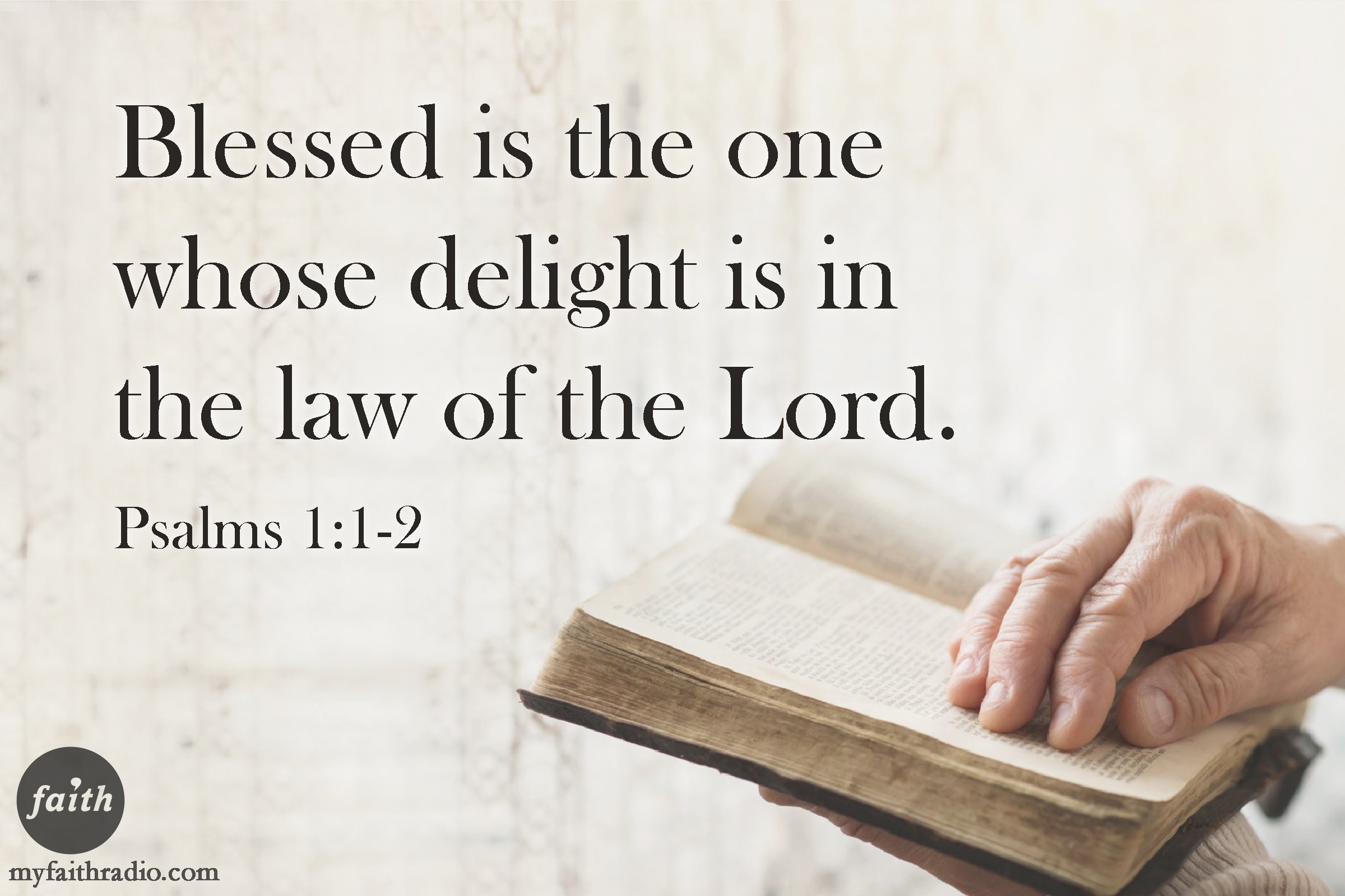 delight in the law of the lord