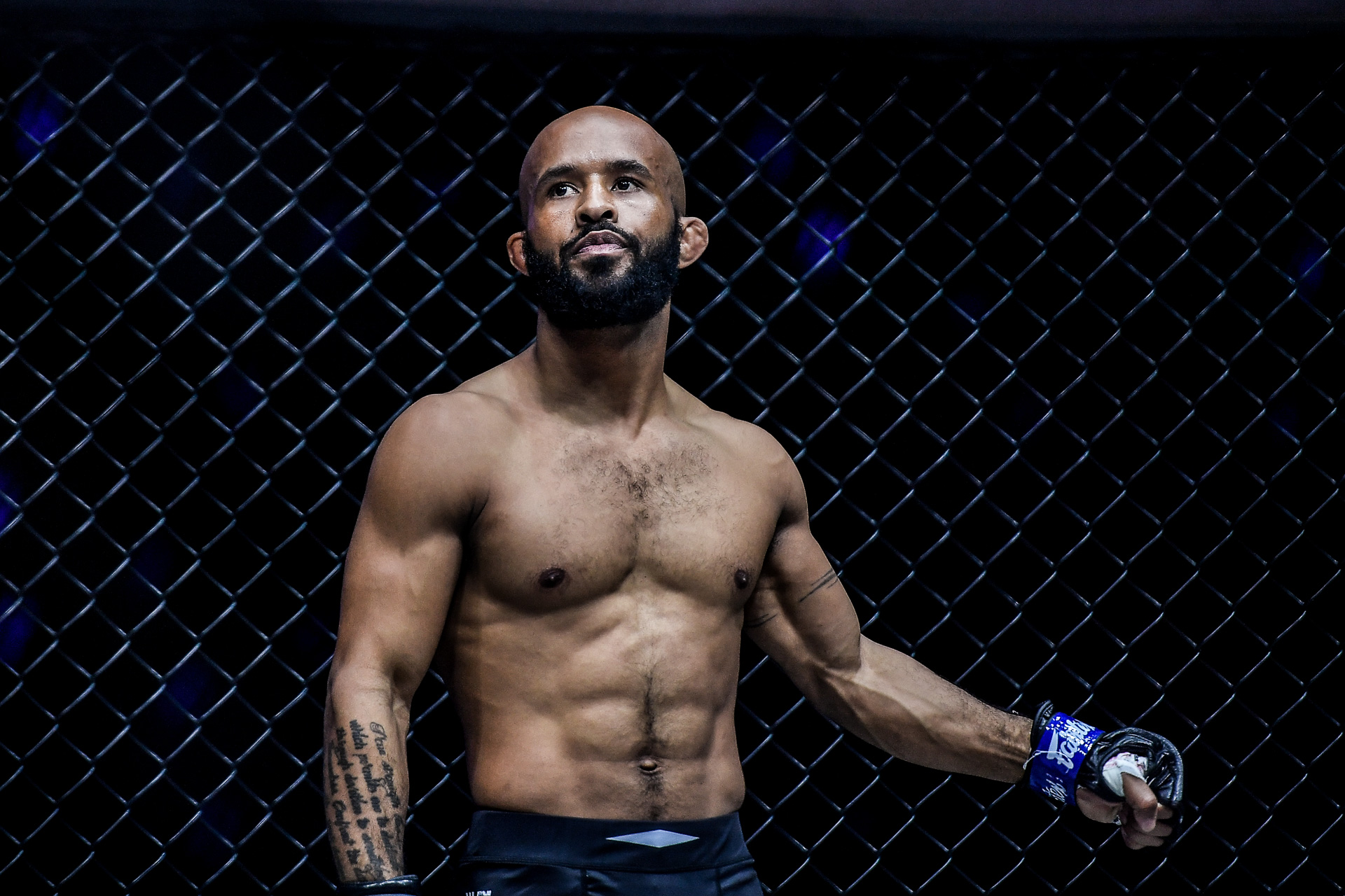 demetrious johnson stats