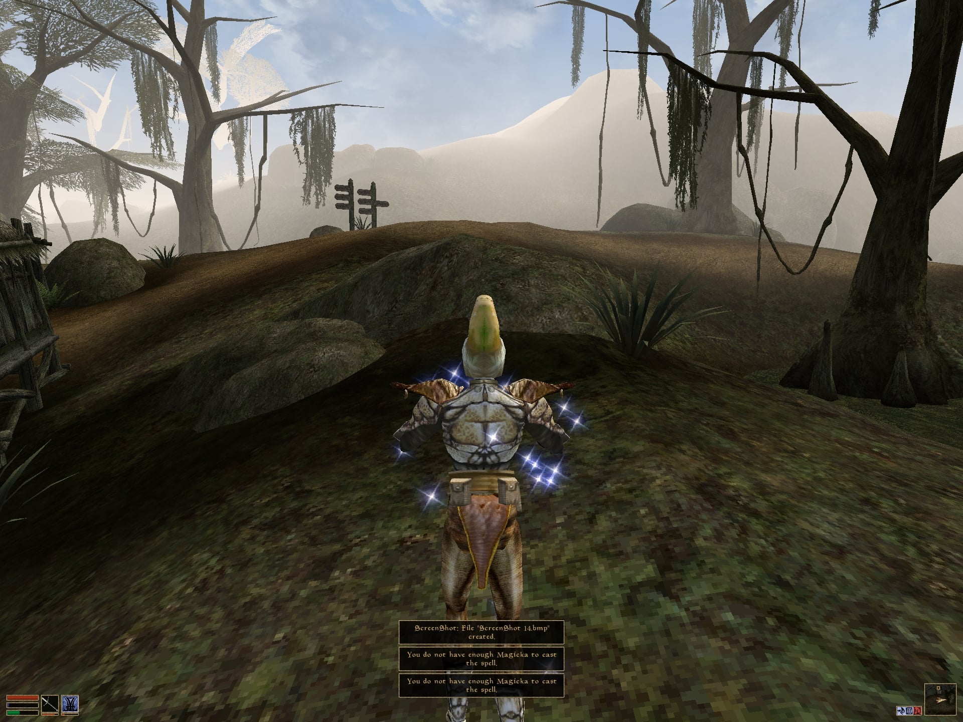 morrowind full screen