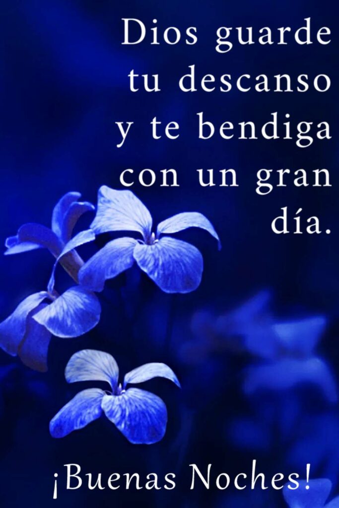 dios buenas noches bendiciones