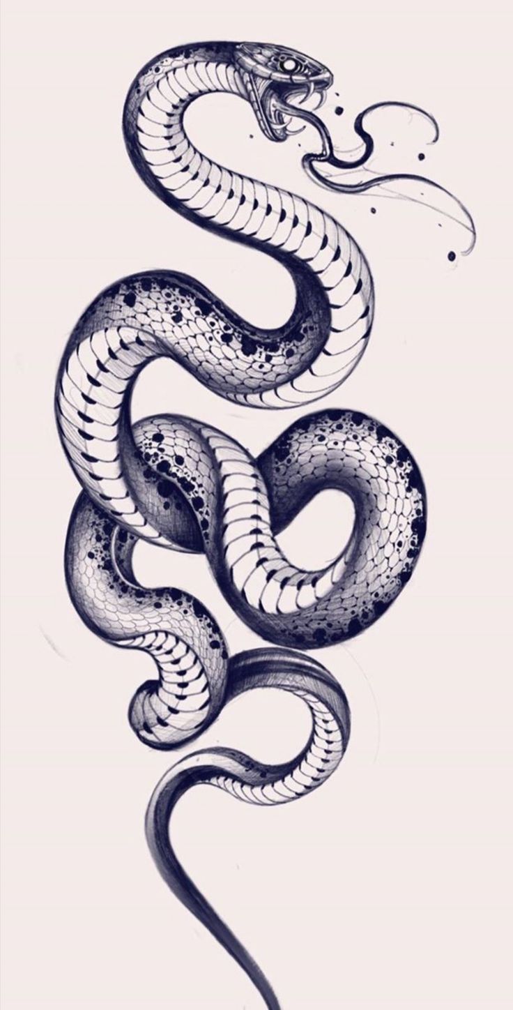 diseño serpiente tattoo