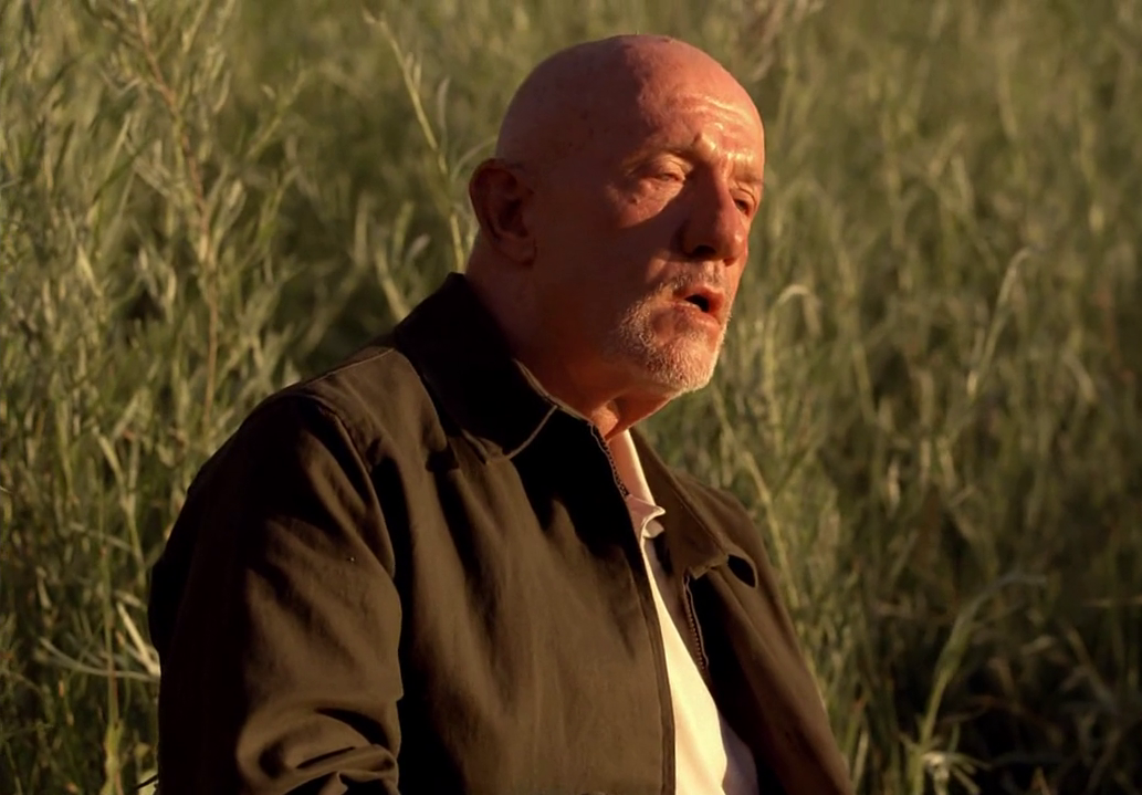 does mike die in breaking bad