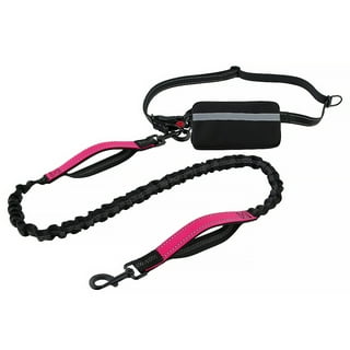 dog collars and leashes walmart