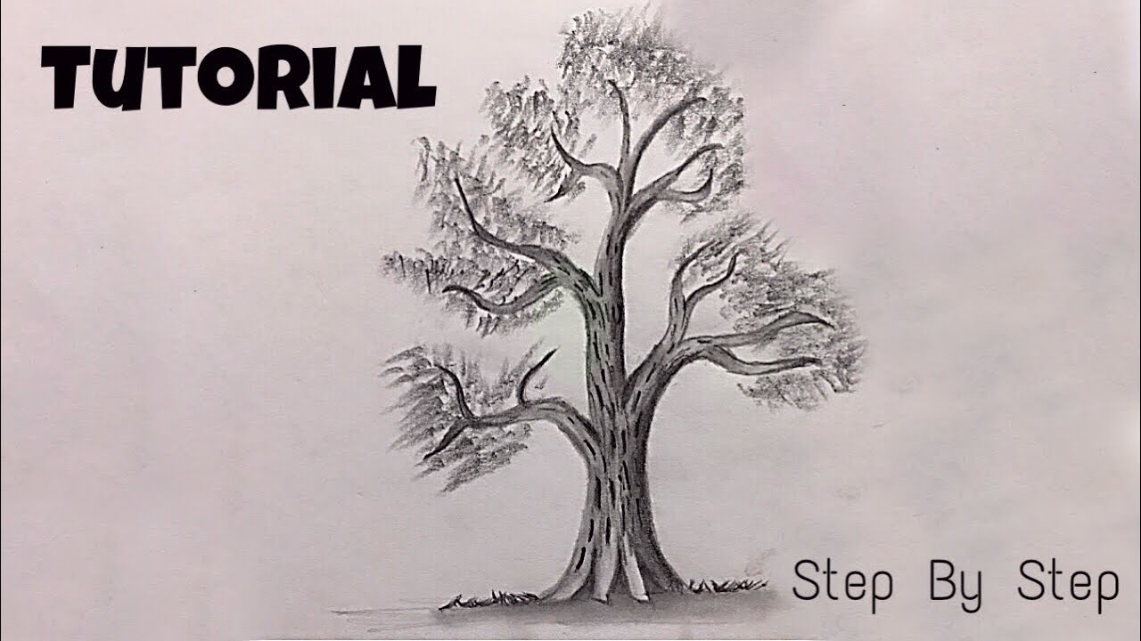 drawing realistic trees step by step