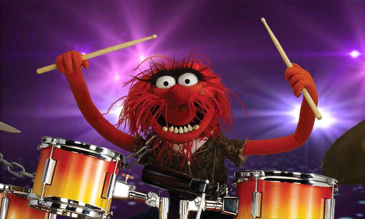 drummer muppets